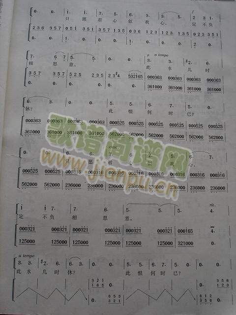 ��ס�L(ch��ng)���^(�Ź~�P���V)3