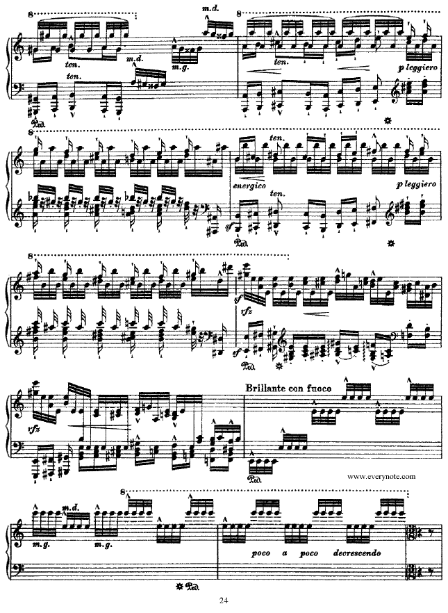 ��������(����V)24