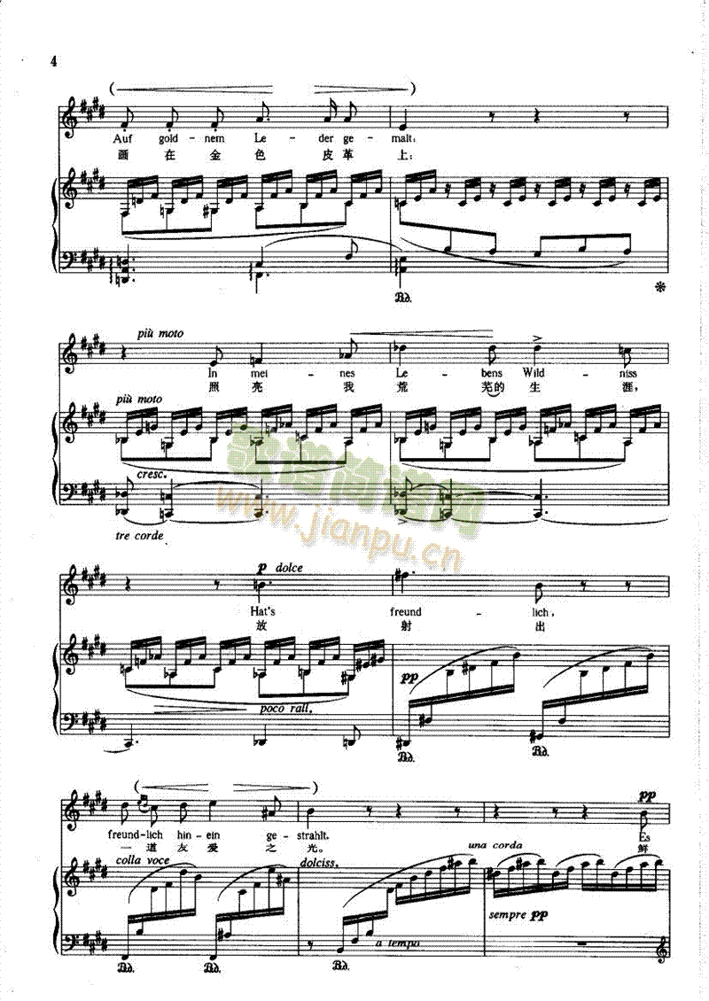 �R���������ĺ��������(l��i)��ٰ����V(������(l�� )�V)3