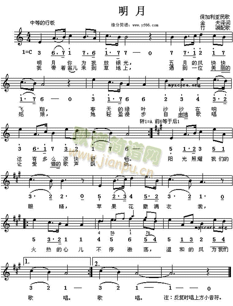 ����(���ָ��V)1