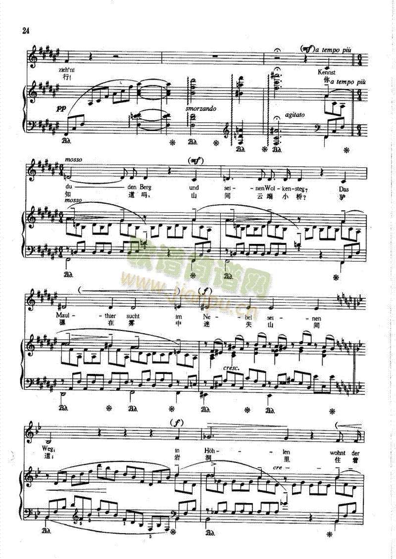 ����֮������(l��i)��ٰ����V(������(l�� )�V)6