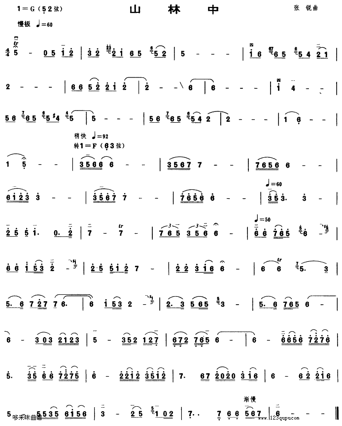 ɽ����(�����V)1