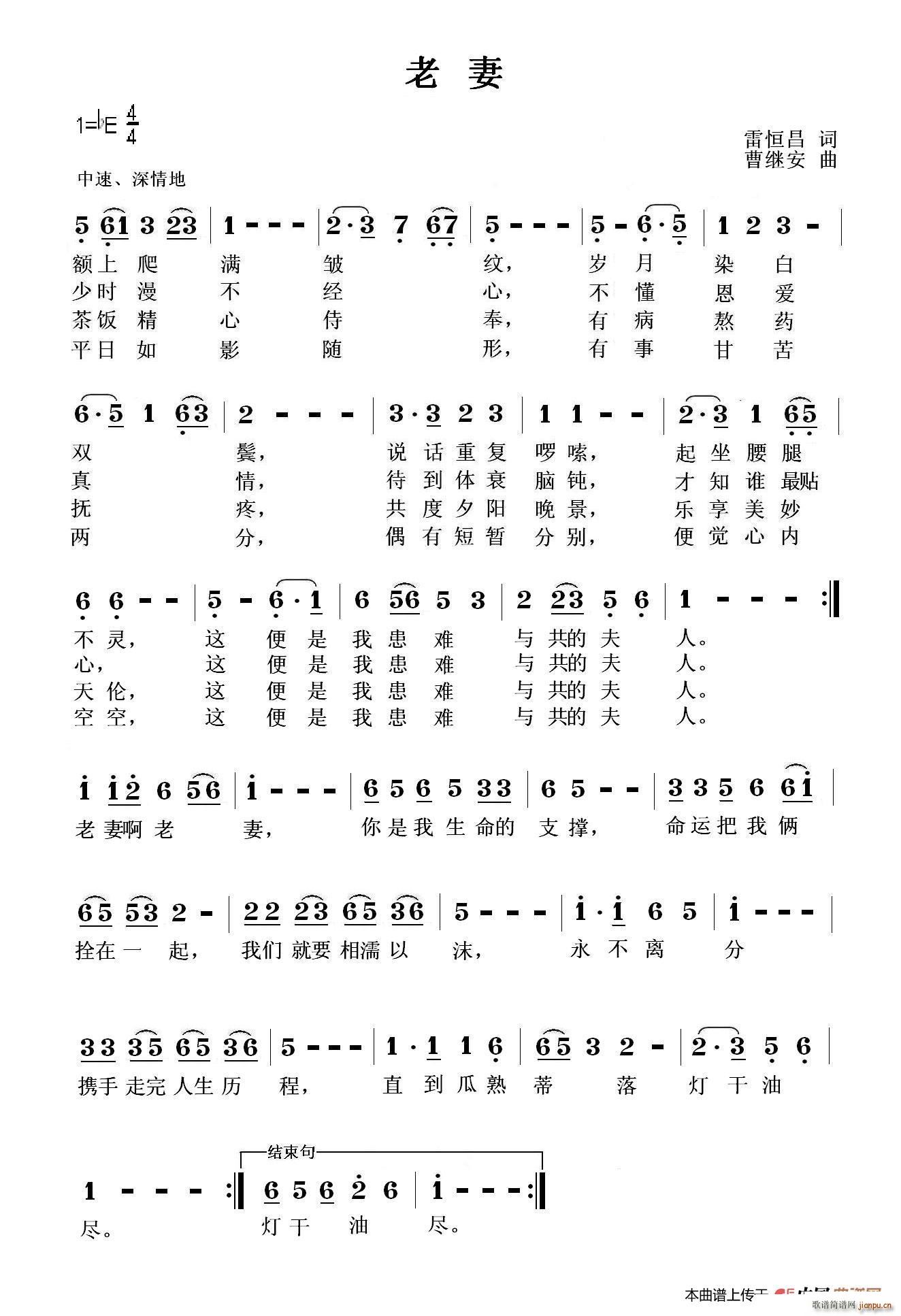 ����(���ָ��V)1