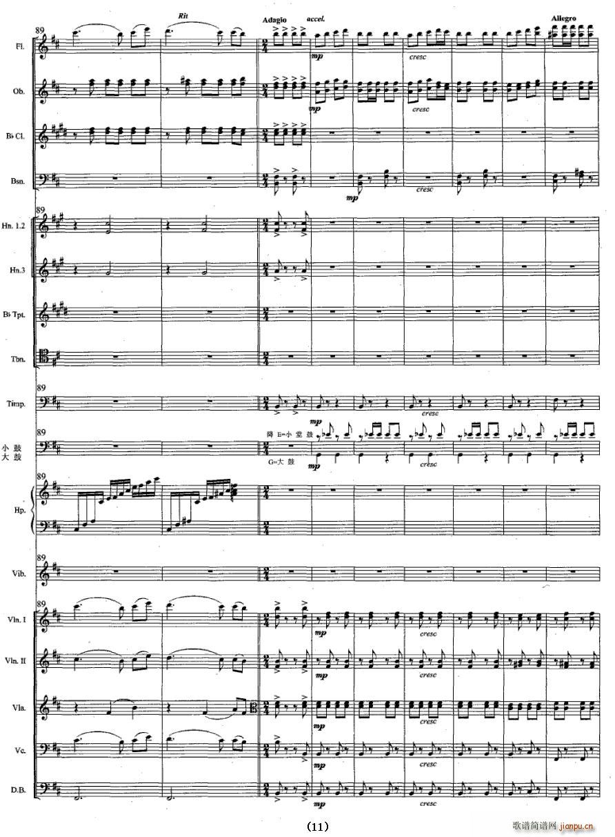 ���v����(���V)11