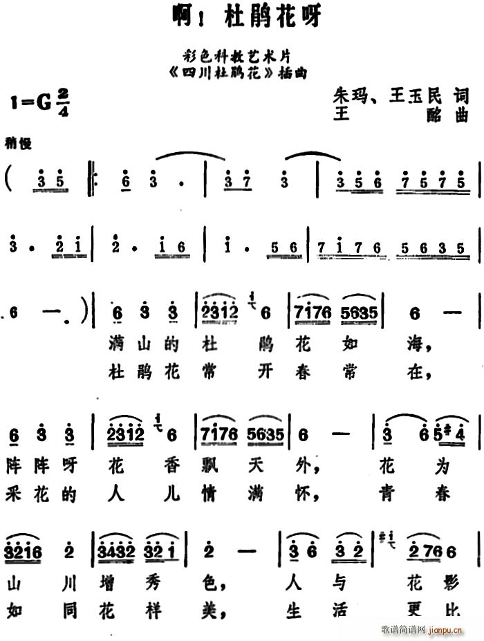 �� ���N��ѽ �ƽ�Ƭ �Ĵ����N�� ����(ʮ�ּ�����)1