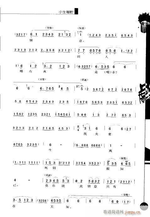 ����݋241-260(�������V)11