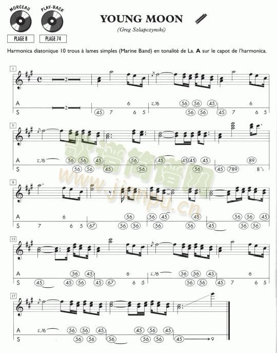 YOUNG(����)1