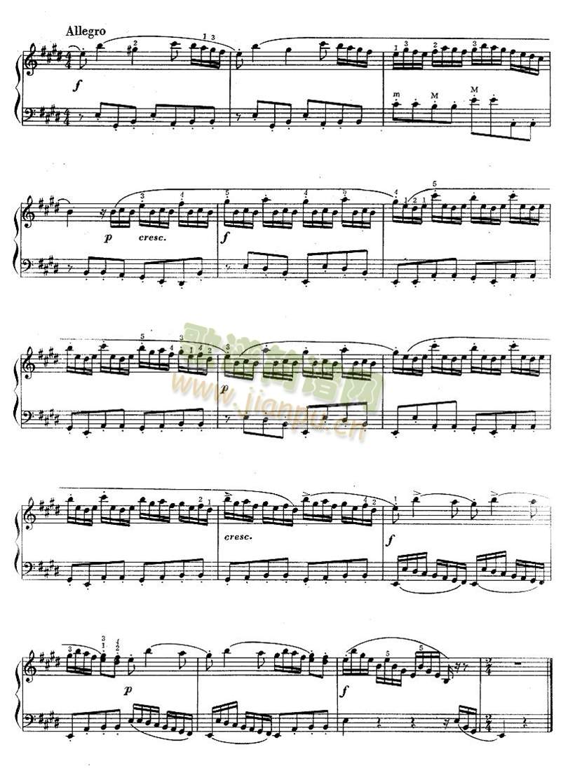 E���{���Q��(����)5