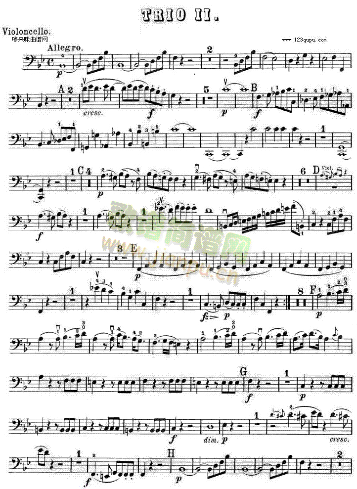 ����������ڶ��׽�B���{K.502֮CelloTRIO(����V)1