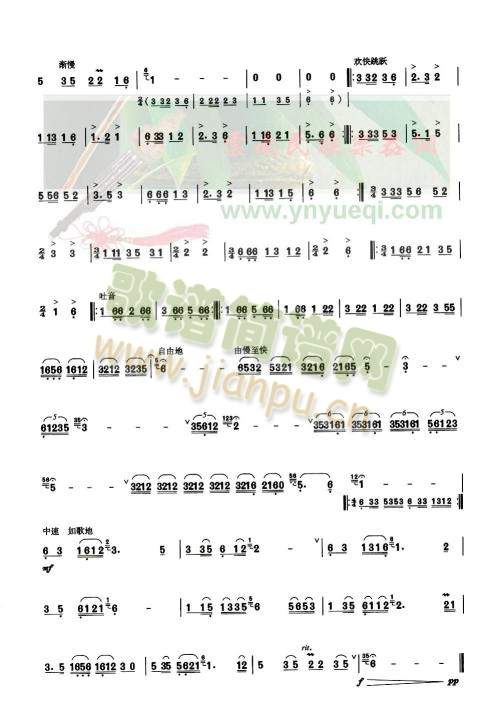 ����g��(���J�z�V)1