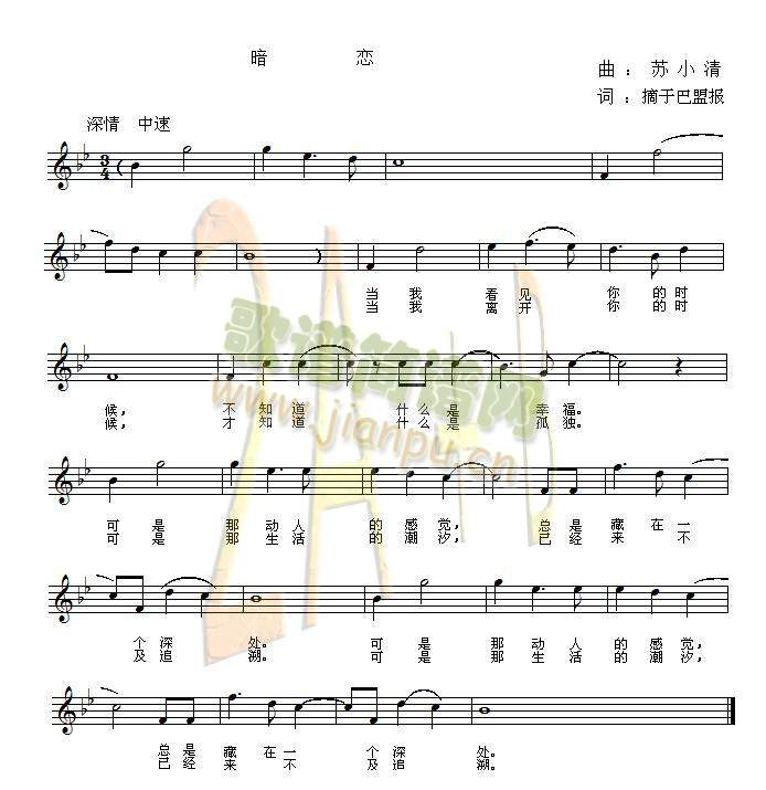 ����(���ָ��V)1