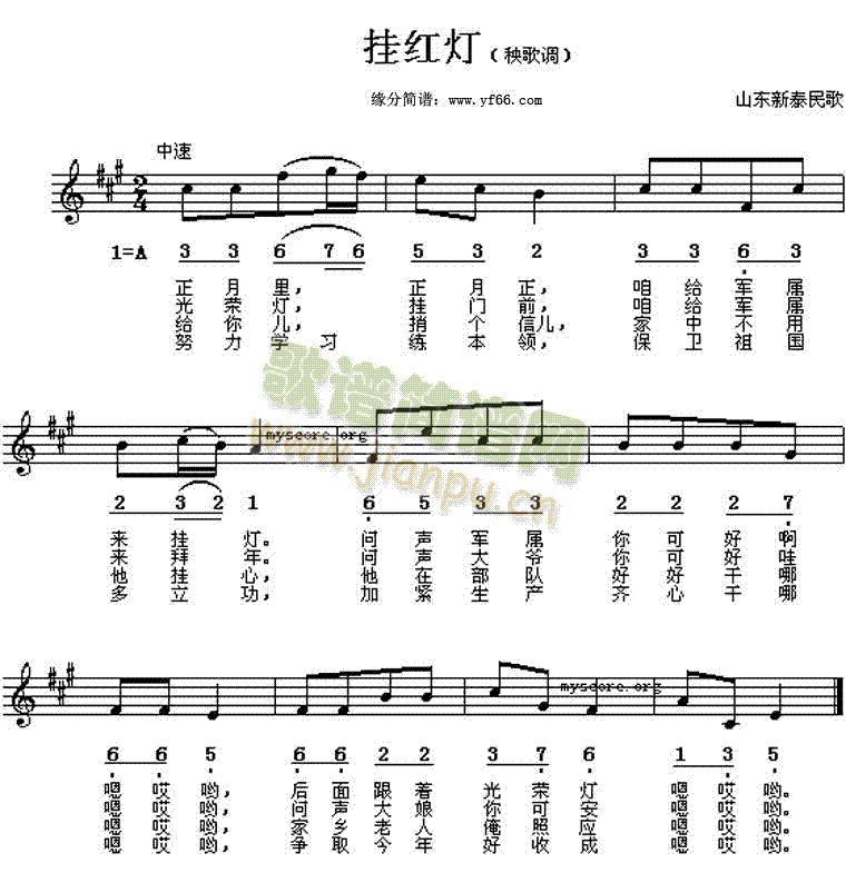 ��t��(���ָ��V)1