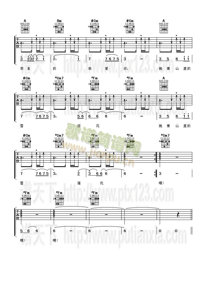 ���������ҵľ�(�����V)3