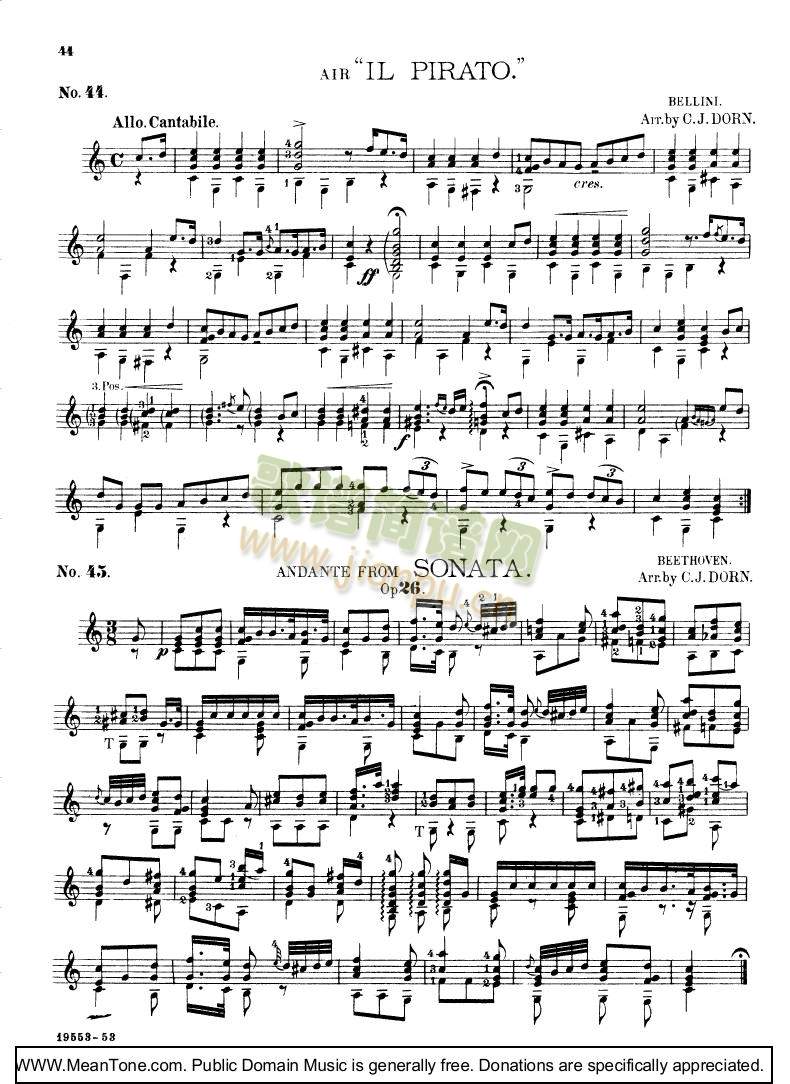 IlPirato(����V)1