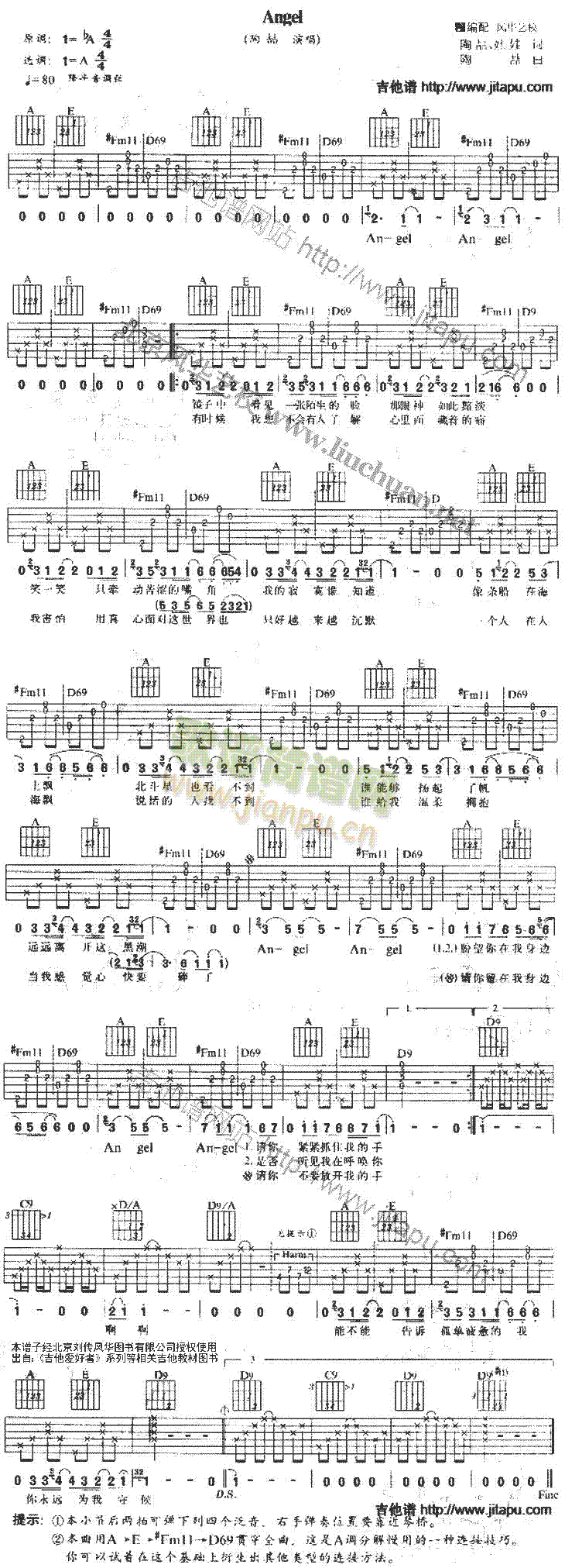 Angel(�����V)1