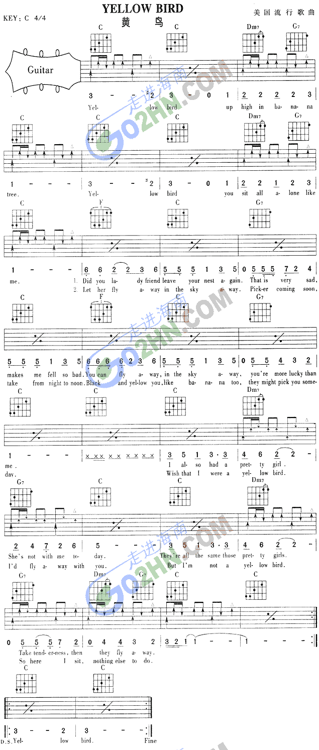 YELLOWBIRD(�����V)1