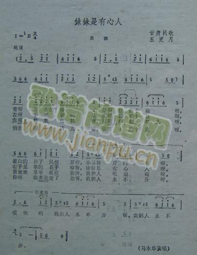 ������������(���ָ��V)1