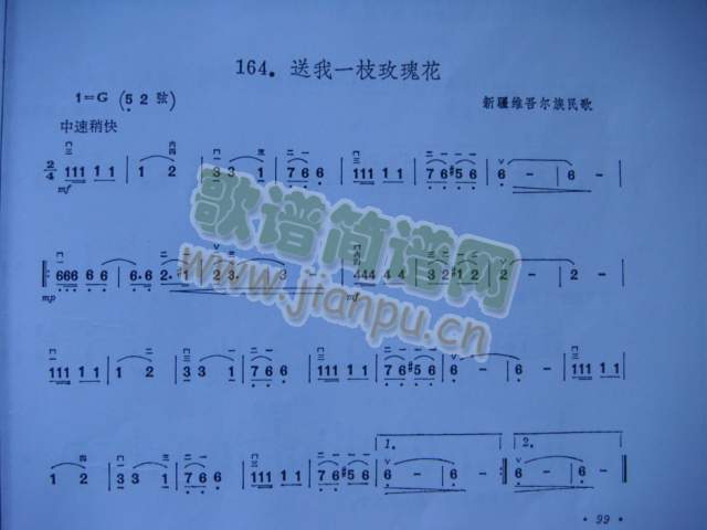 ����һ֧õ�廨(�����V)1