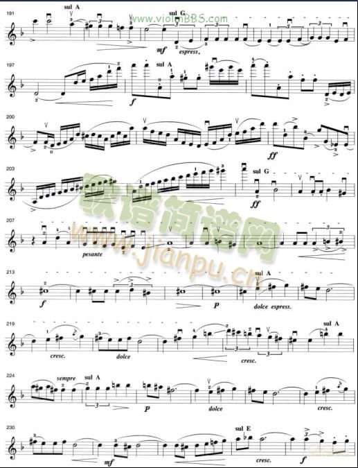 �����������(С�����V)5