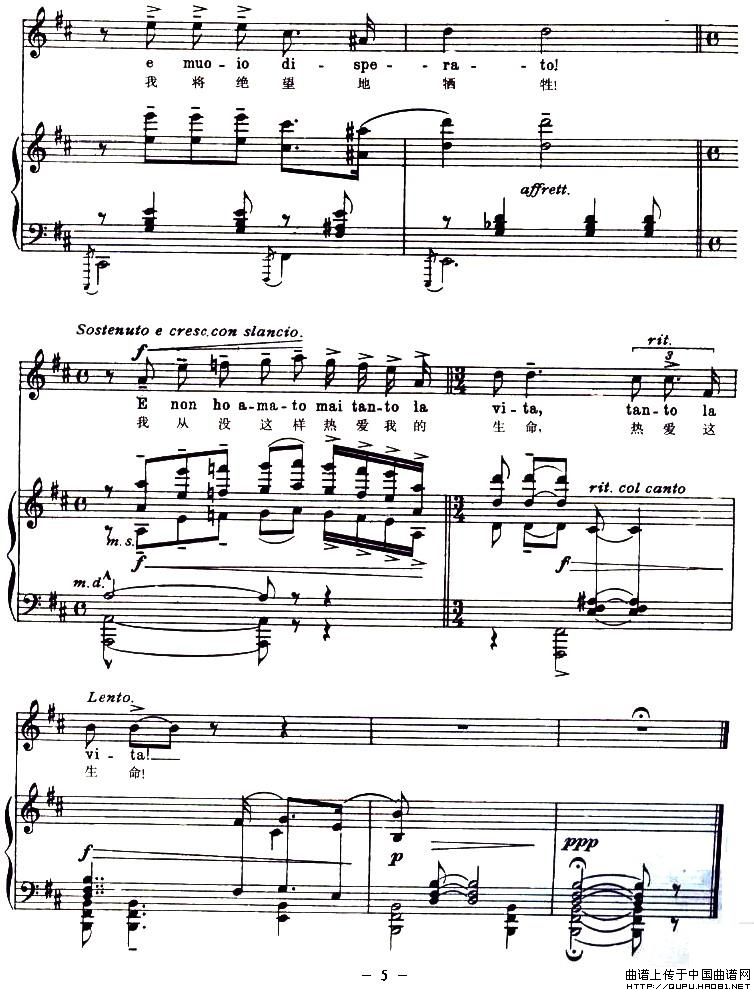 �ǹ�N���������V(����V)5