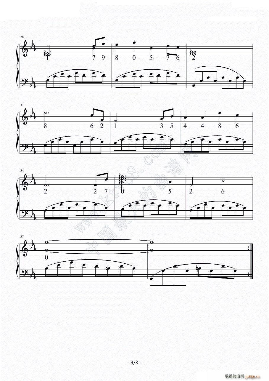 ���� ���� �S��ָ���(����V)3