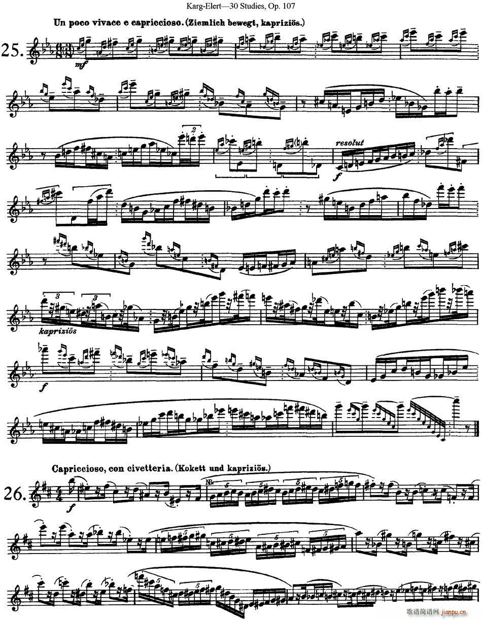 �� ������30���L(ch��ng)�Ѿ�����Op 107 NO 25 NO 27(�Ѻ��V)1