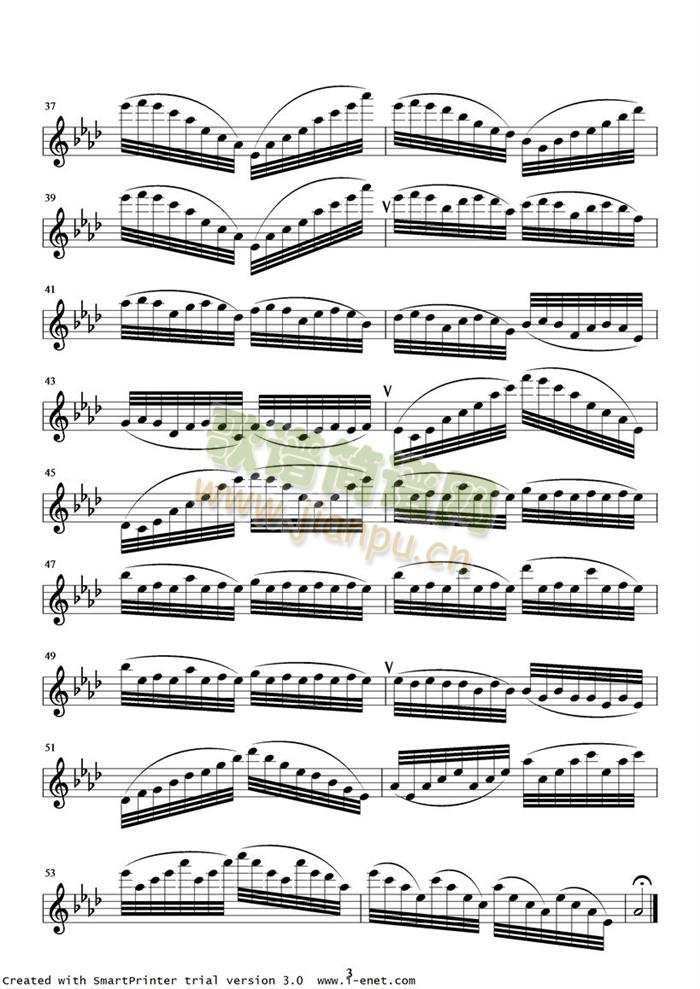 �������No24(����V)3