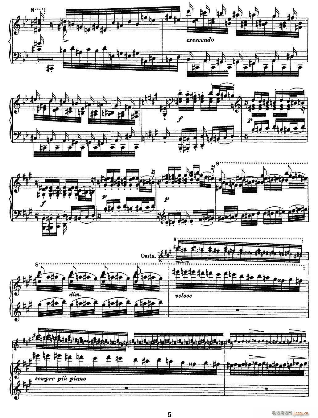 12�׳������ɾ����� Feux Follets ����(����V)5