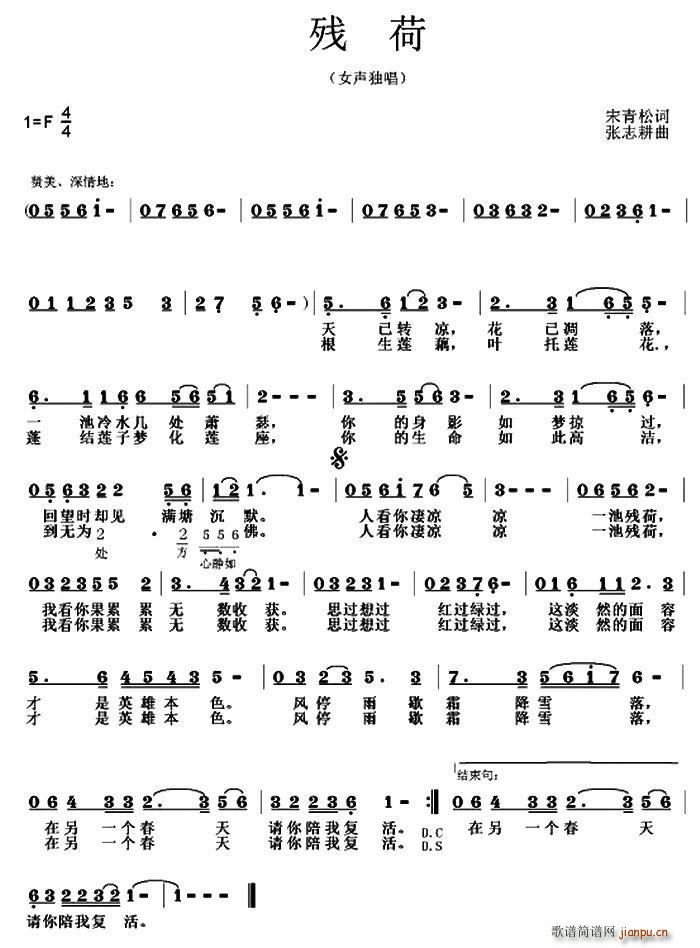 ����(���ָ��V)1