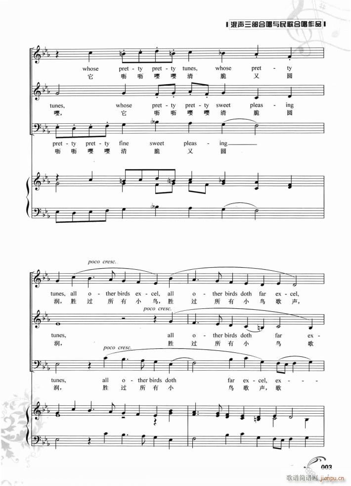 ���е��B(ni��o)�Ҷ� (t��ng)�^(gu��)(���ָ��V)3