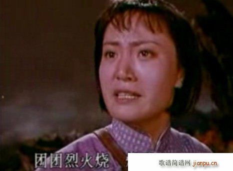 �D�� ���Nɽ �y���w�ɝ���Ⱥɽ���x(ʮ�ּ�����)3