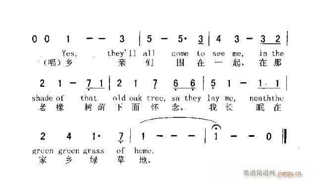 GREEN GREEN GRASS OF HOME(ʮ�ּ�����)3