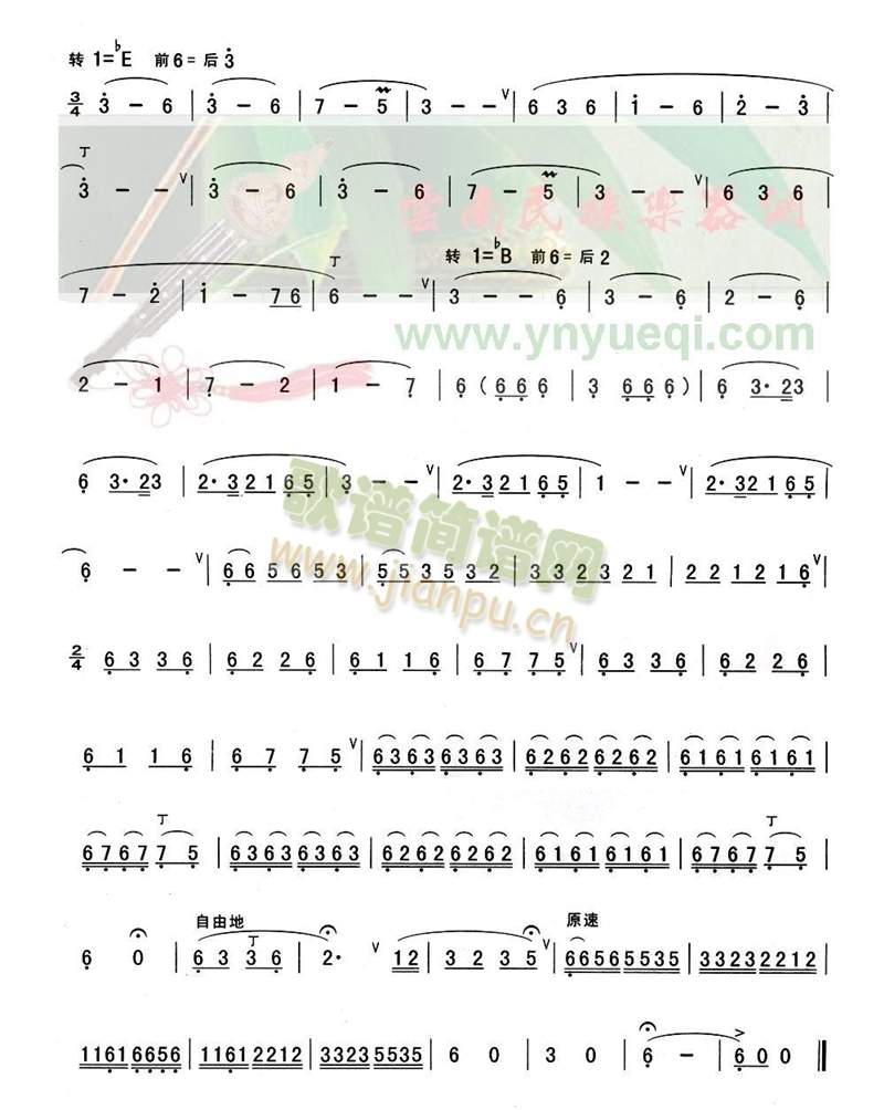 ����ɽ��+��������(���J�z�V)5