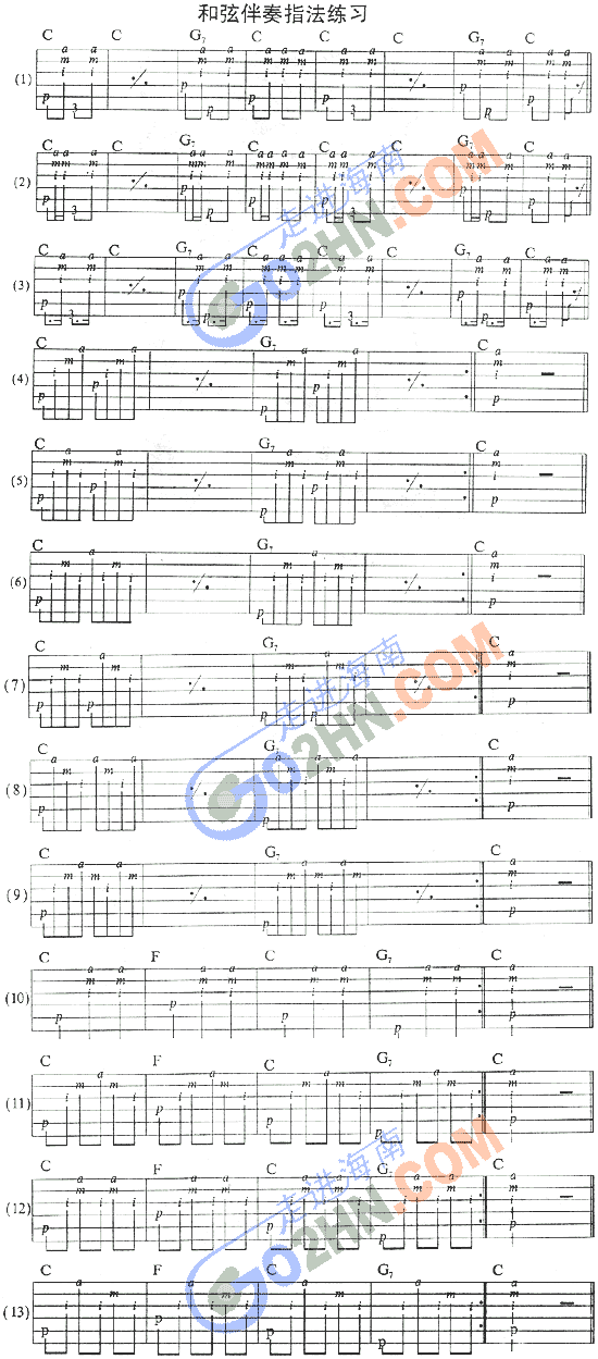 ָ������(�����V)1