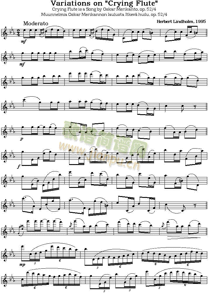 cryingflute(�Ѻ��V)1