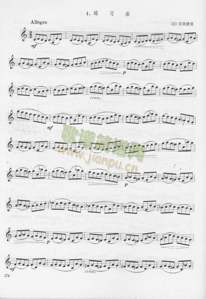 ����ݾ�������(������(l�� )�V)1