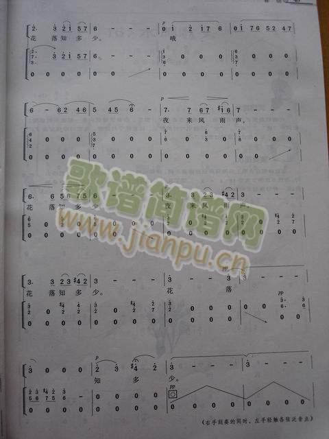 ����(�Ź~�P���V)3