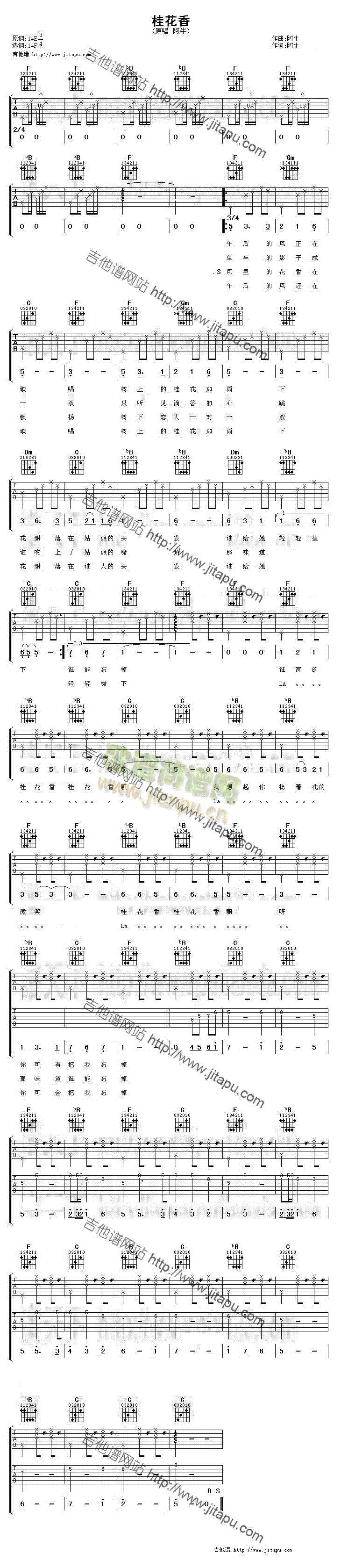 ����(�����V)1