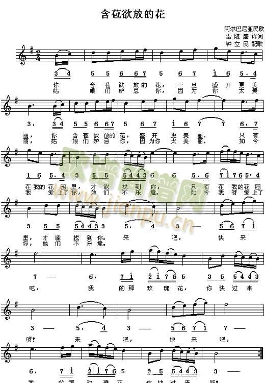 �������ŵĻ�-�������၆���(ʮ�ּ�����)1