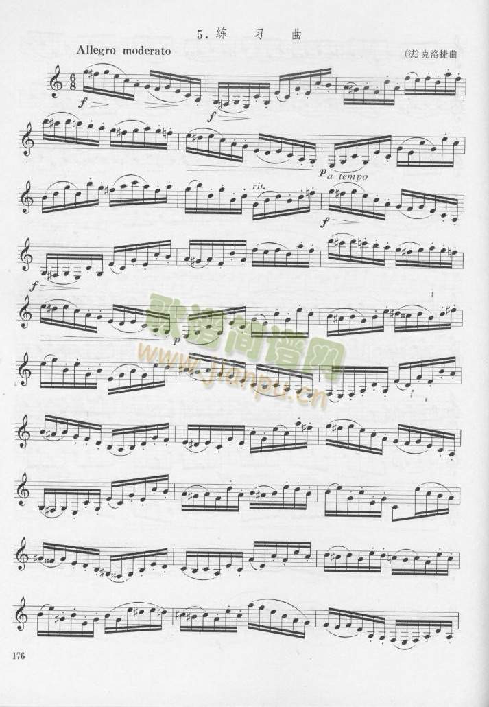 ����ݾ�������(������(l�� )�V)1