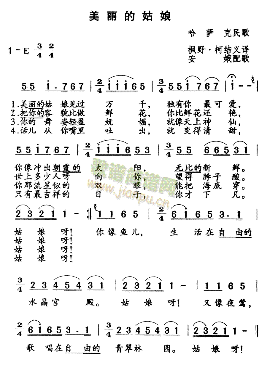 �����Ĺ���(���ָ��V)1