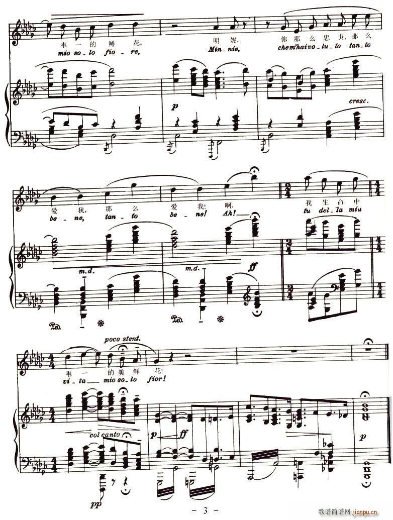 Ո׌������(���ָ��V)3