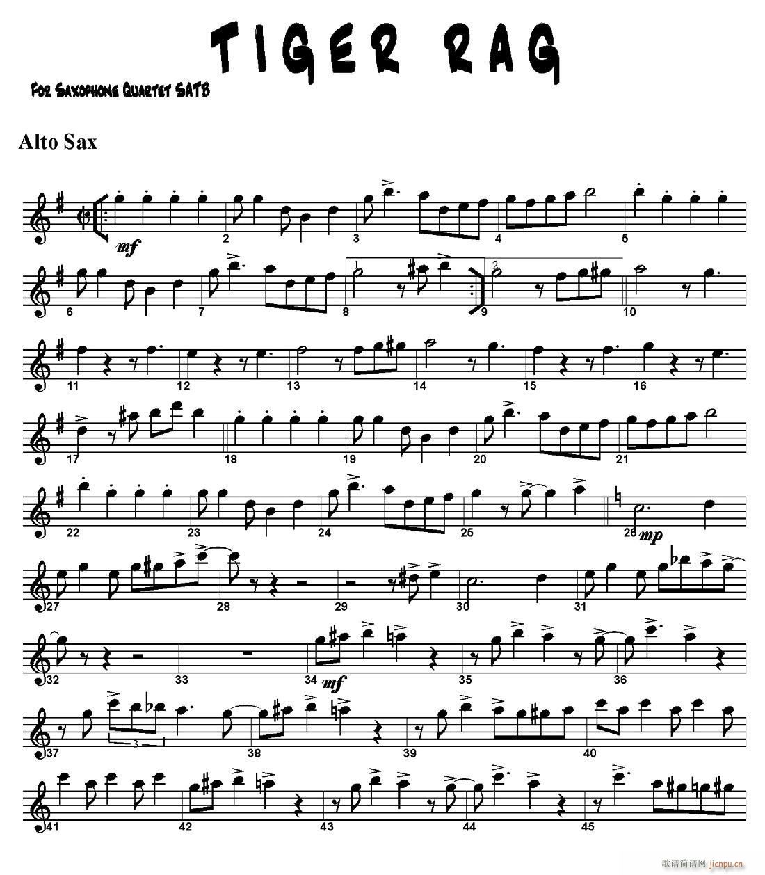 TIGER RAG ������(���V)1