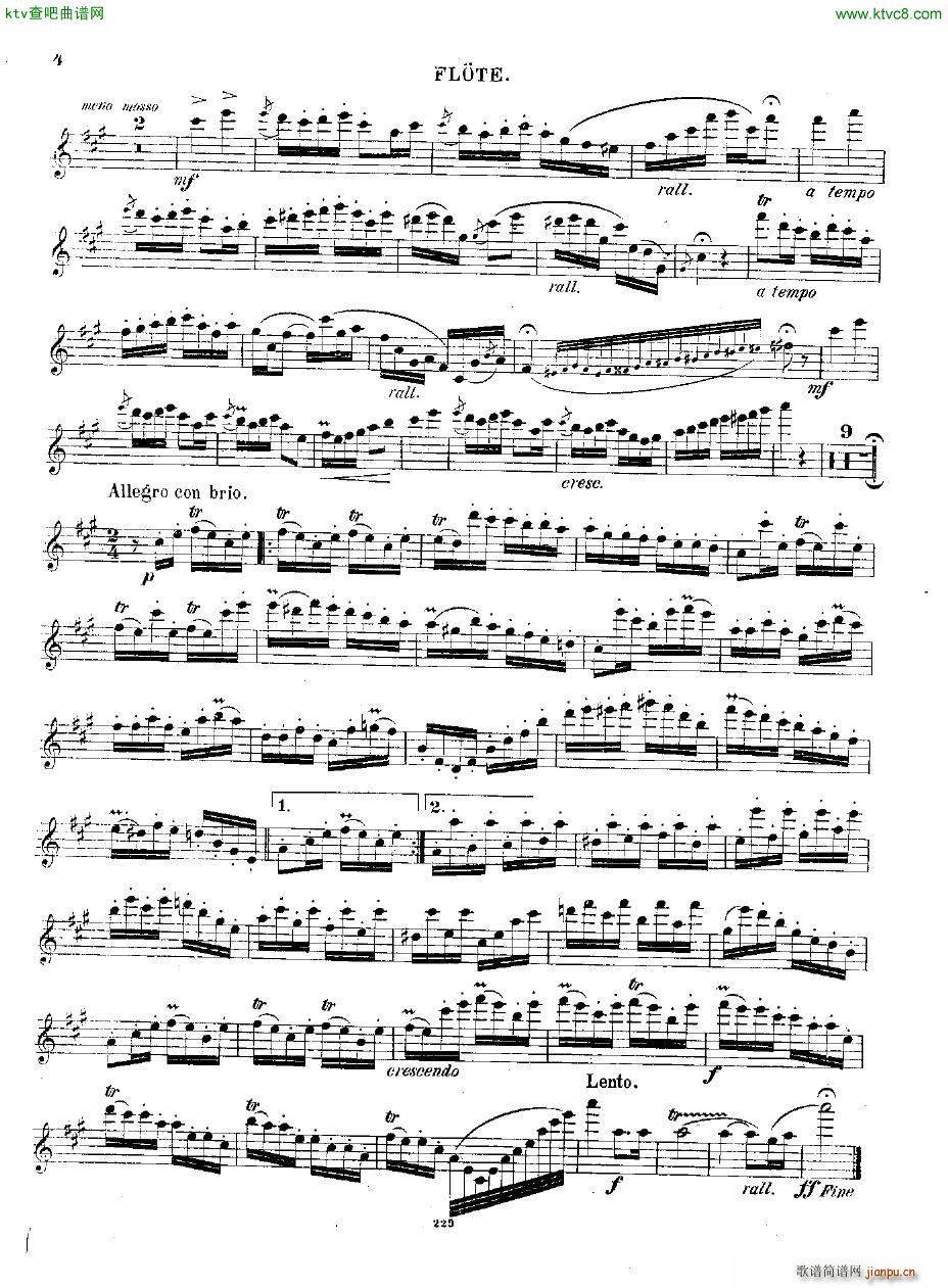 Andersen op 2 Ungarische Fantasie fl pno(����V)19