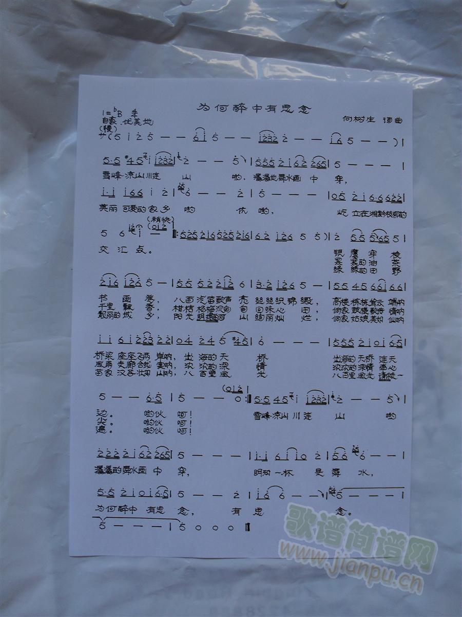 ���������˼��(���ָ��V)1