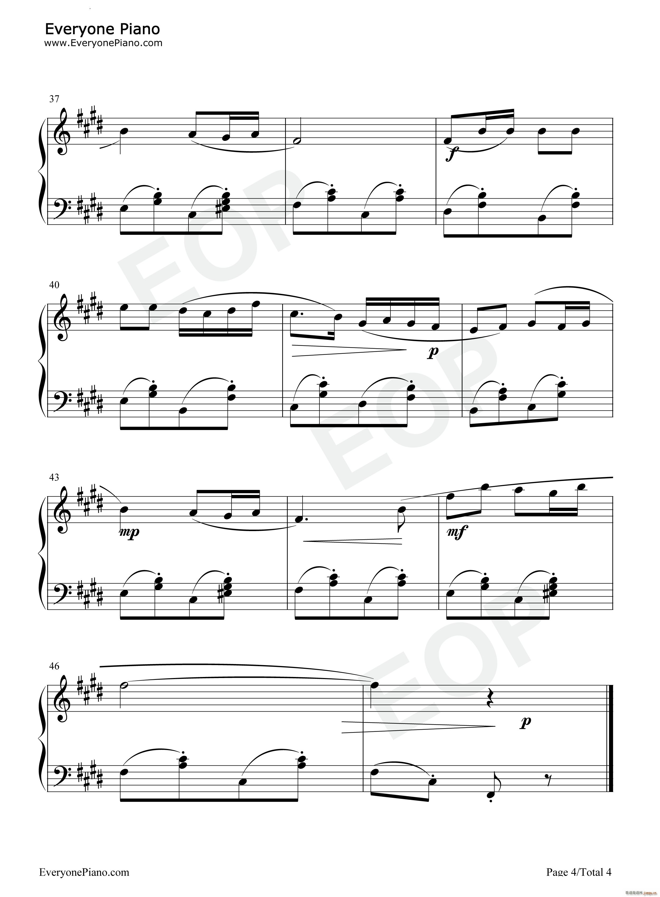 �ҵĻ��� My Flowers(����V)5