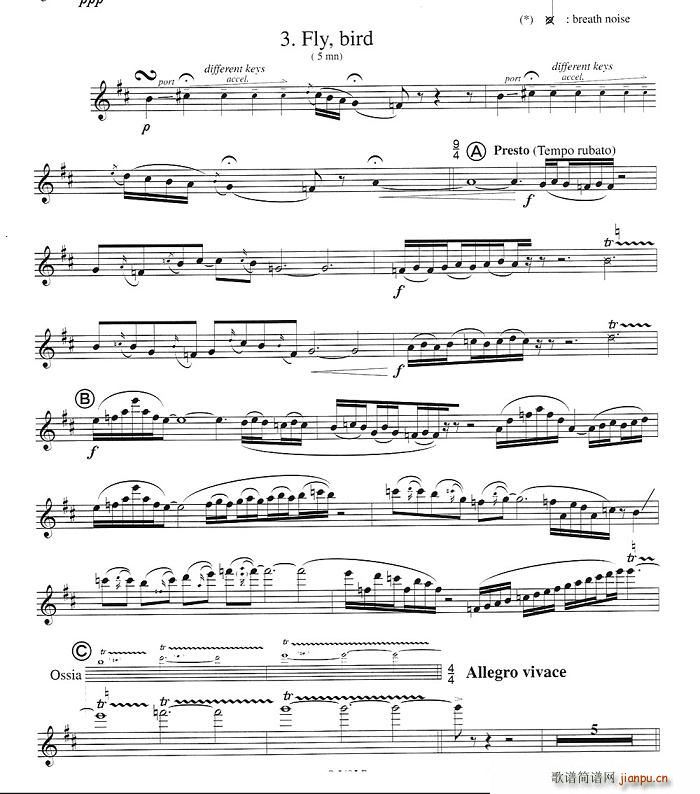 Fuzzy Bird Sonata(ʮ�ּ�����)1