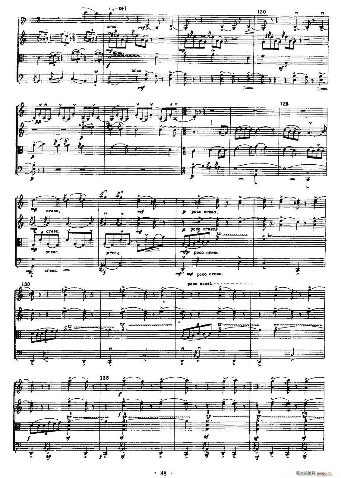 ����(���ָ��V)6