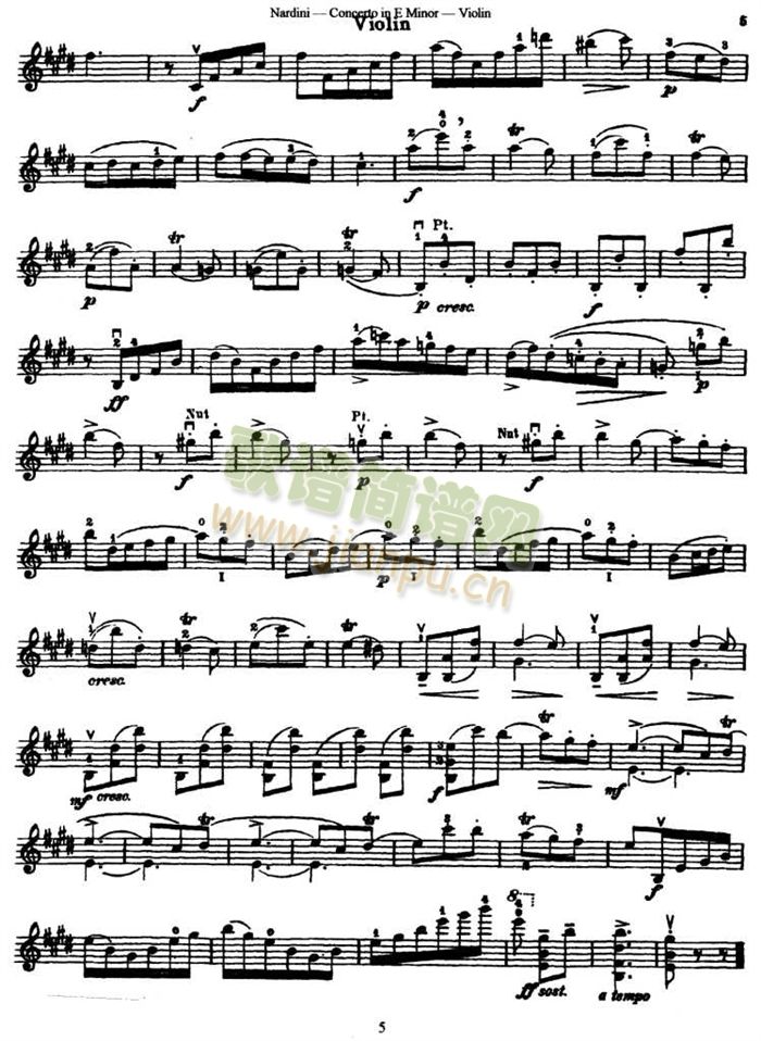 ConcertoinEMinjor(С�����V)5