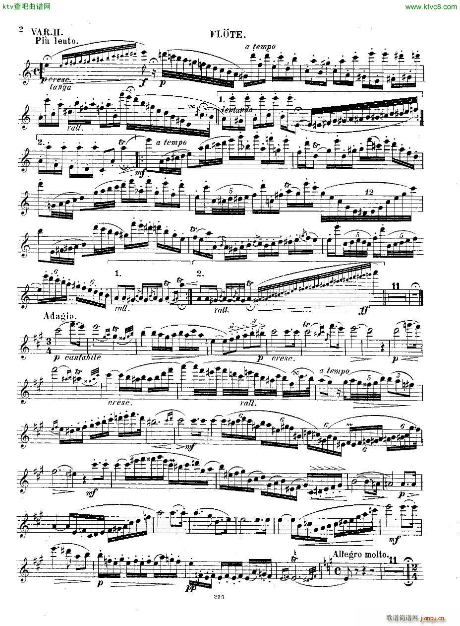 Andersen op 2 Ungarische Fantasie fl pno(����V)17